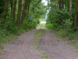 Opposite to our house there is this road and it doesn't look bad.